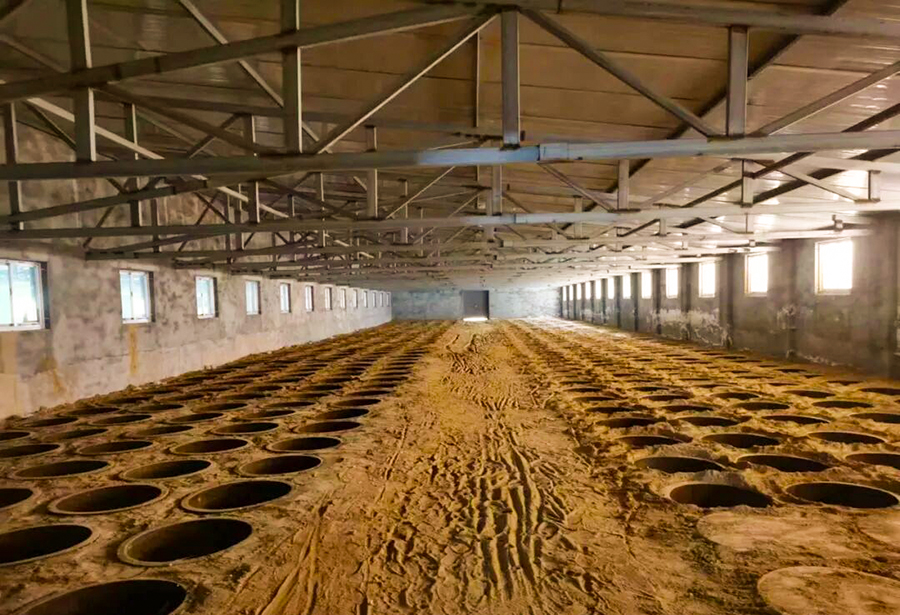 枫林酒业,枫林老酒,枫林集团 枫林酒业,枫林老酒,枫林集团