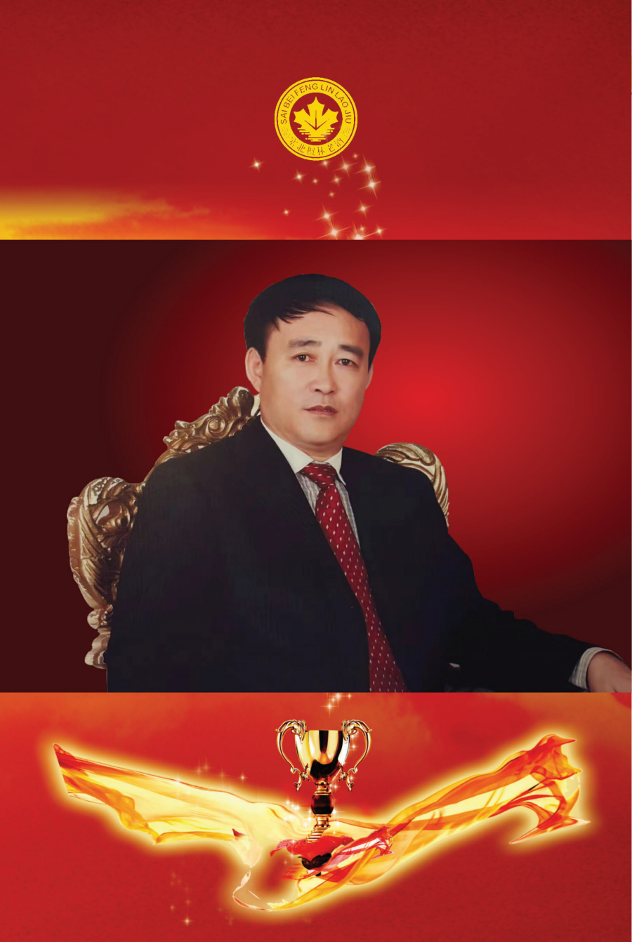 枫林酒业,枫林老酒,枫林集团,公司画册 枫林酒业,枫林老酒,枫林集团,公司画册